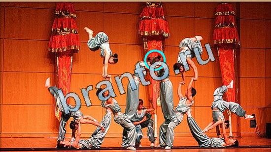 ответы на игру Где же кот Уровень 5001