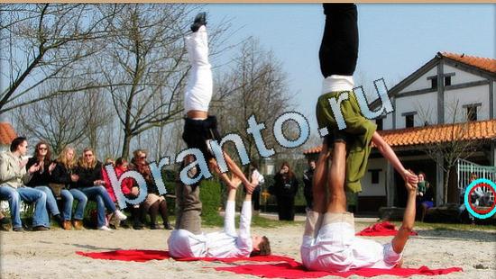 Подсказки на игру Где же кот Уровень 5002