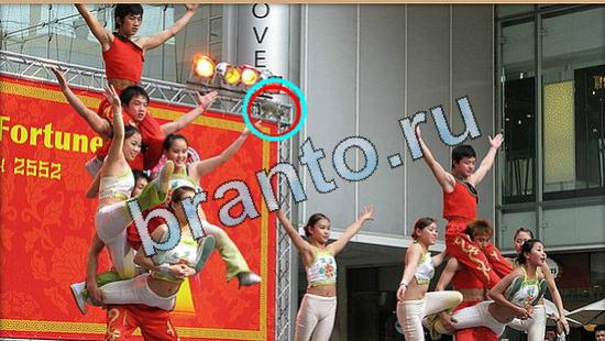 Решения на игру Где же кот Уровень 5003