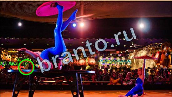 Где же кот игра ответы в одноклассниках Уровень 5007