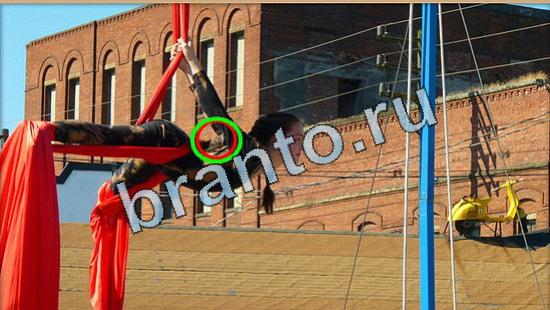 Где же кот? ответы Уровень 5008