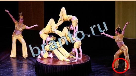 Где же кот? помощь Уровень 5010