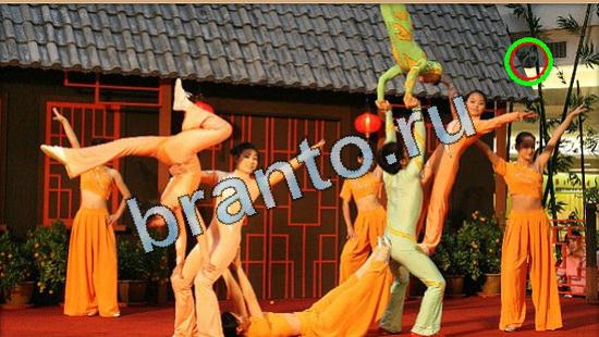 решебник на игру Где же кот Уровень 5011