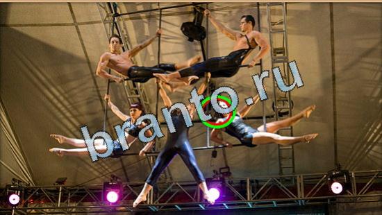 Где же кот игра подсказки Уровень 5014