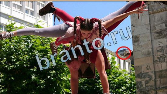 Где же кот игра помощь Уровень 5015