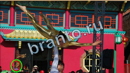 Игра Где же кот ответы Уровень 5017