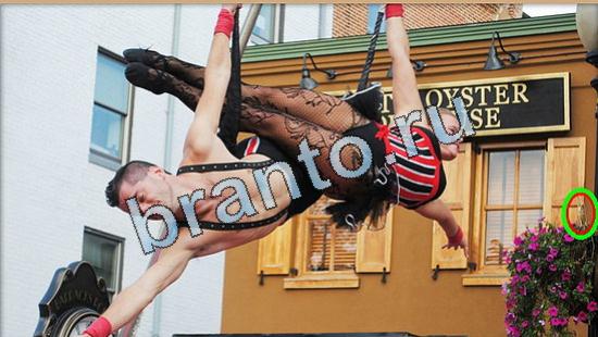 игра Где же кот помощь Уровень 5019