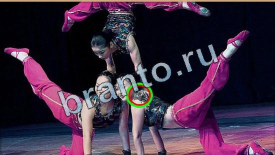 Игра Где же кот прохождение Уровень 5020