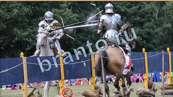 ответы на игру Где же кот Уровень 5041