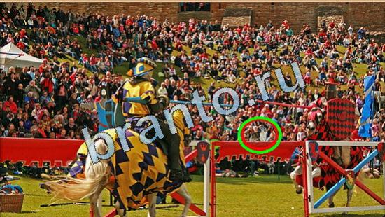 Подсказки на игру Где же кот Уровень 5042