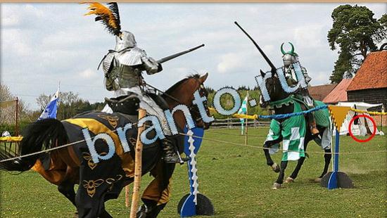 Решения на игру Где же кот Уровень 5043