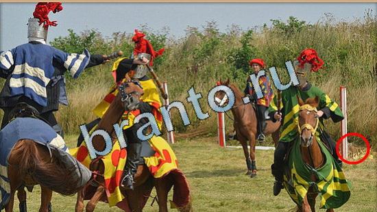 ответы к игре Где же кот Уровень 5045