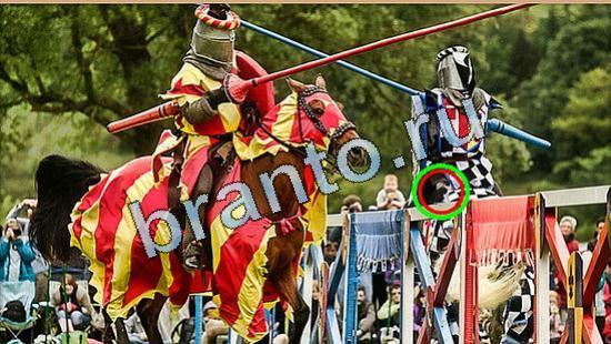 ответы на игру в одноклассниках Где же кот Уровень 5046