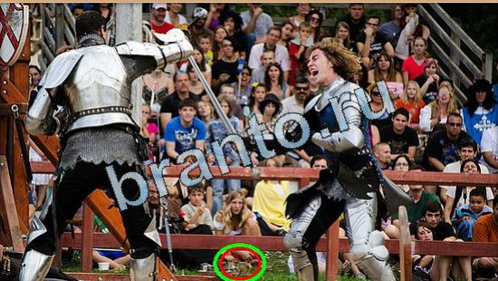 Где же кот игра ответы в одноклассниках Уровень 5047