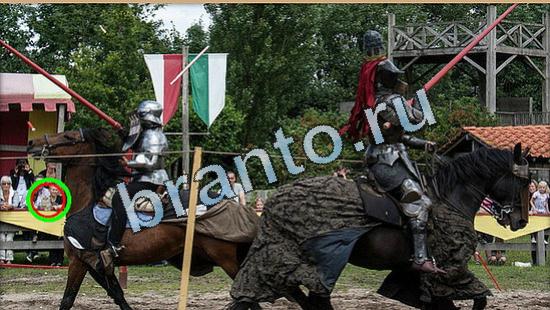 Где же кот? ответы Уровень 5048