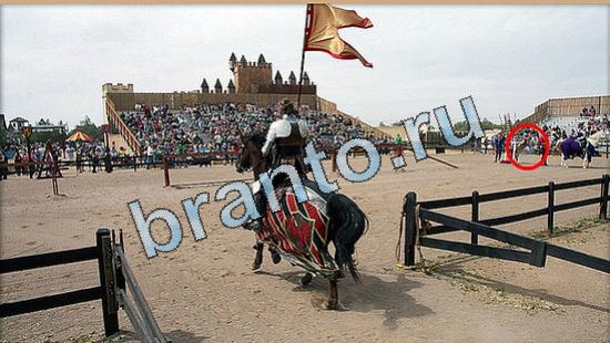 Где же кот? подсказки Уровень 5049