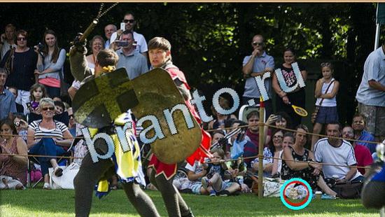 Где же кот? помощь Уровень 5050