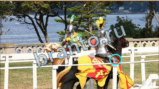 Где же кот? решения Уровень 5052