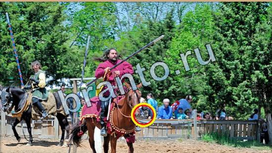 Где же кот игра ответы Уровень 5053