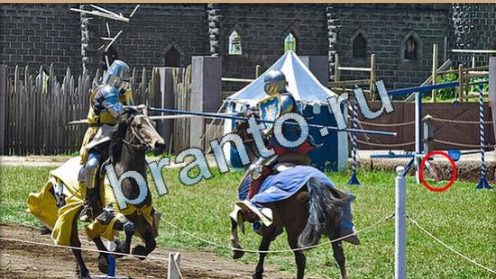 Где же кот игра помощь Уровень 5055