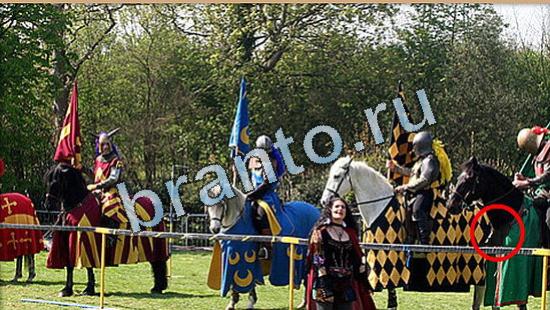 Где же кот ответы в картинках Уровень 5056