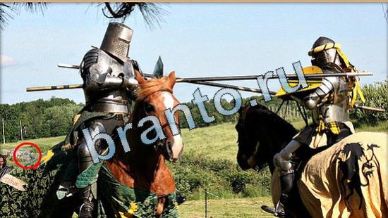 Игра Где же кот ответы Уровень 5057