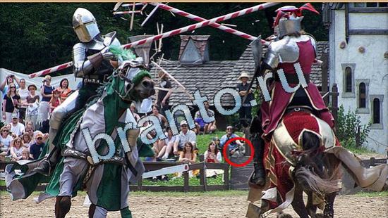 игра Где же кот помощь Уровень 5059