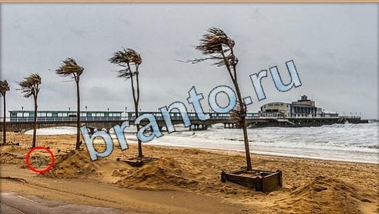 прохождение на игру Где же кот Уровень 5061