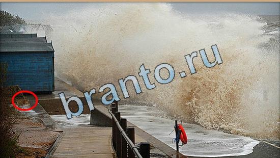 Где же кот прохождение игры Уровень 5062