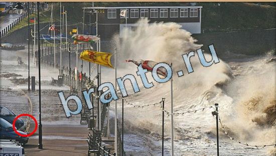 Прохождение игры Где же кот Уровень 5064