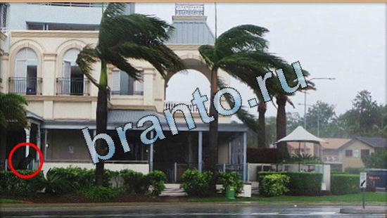 ответы Где же кот Уровень 5065