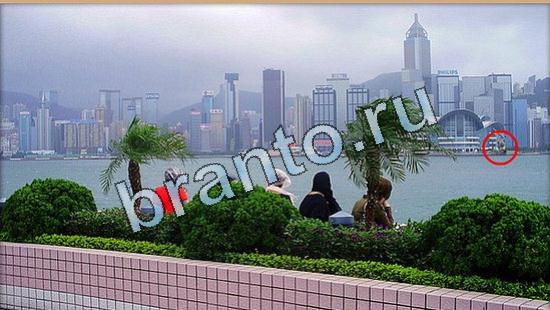 ответы Где же кот? в одноклассниках Уровень 5066