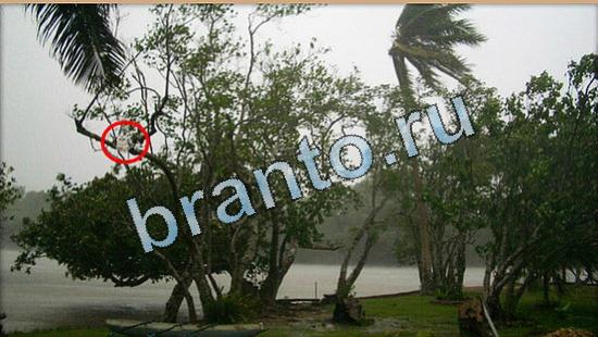 ответы для игры Где же кот Уровень 5067