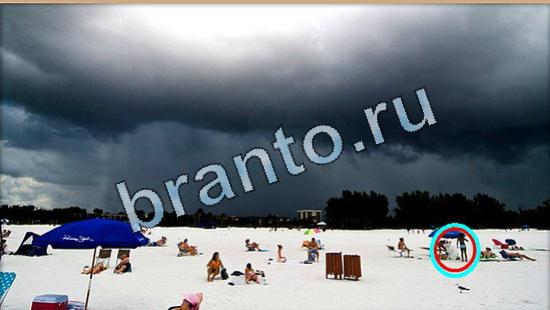 Где же кот игра ответы Уровень 5069