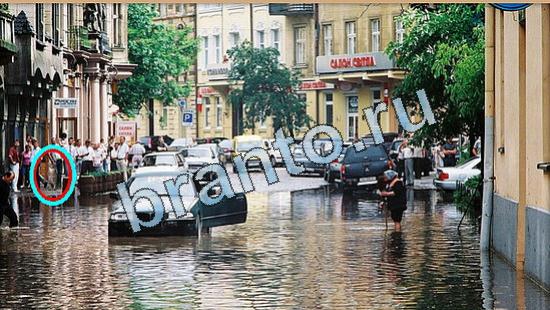 игра в одноклассниках Где же кот ответы Уровень 5070