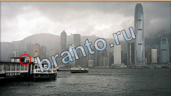 Где же кот помощь в картинках Уровень 5071