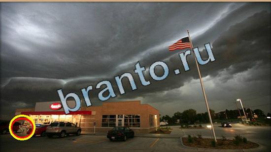 Где же кот ответы на новые задания Уровень 5073