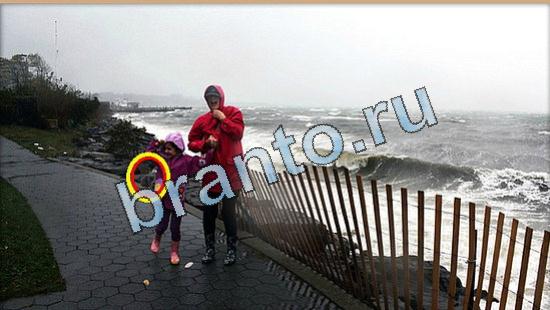 ответы на игру Где же кот Уровень 5074