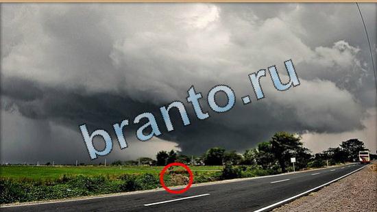 решения на игру Где же кот Уровень 5075