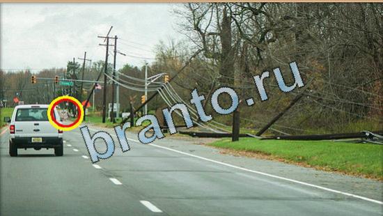 ответы на игру Где же кот Уровень 5076