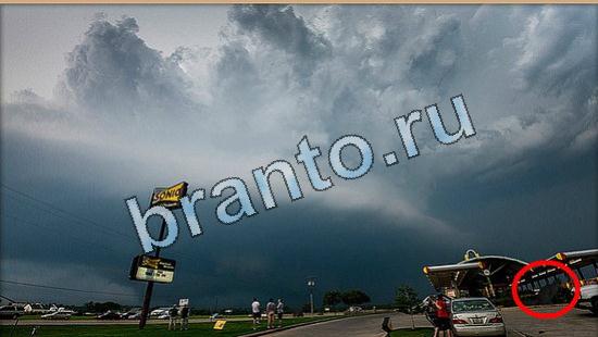 ответы в картинках на игру Где же кот Уровень 5077