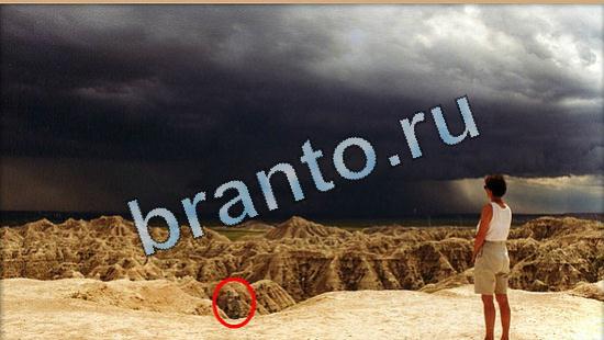 Где же кот ответы в одноклассниках Уровень 5079