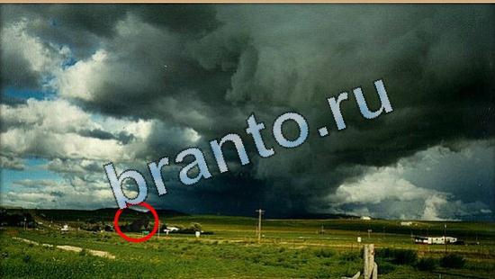 Где же кот игра ответы Уровень 5080