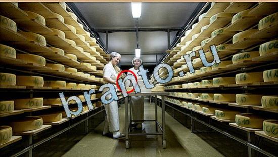 Подсказки на игру Где же кот Уровень 5082