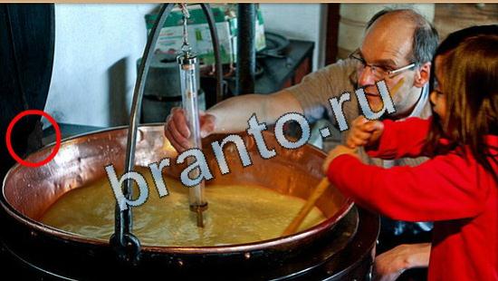 Решения на игру Где же кот Уровень 5083