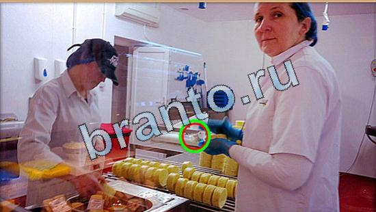 Помощь на игру Где же кот Уровень 5084