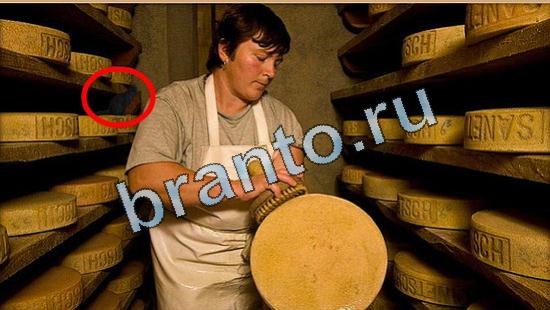 ответы на игру в одноклассниках Где же кот Уровень 5086