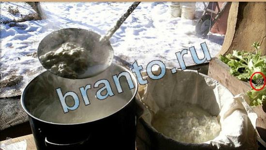 Где же кот? подсказки Уровень 5089