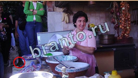 Где же кот? помощь Уровень 5090