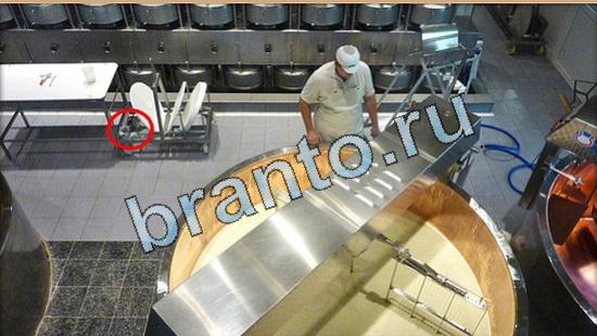 решебник на игру Где же кот Уровень 5091